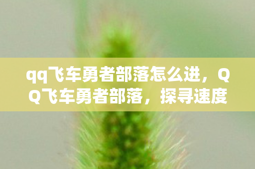 qq飞车勇者部落怎么进,QQ飞车勇者部落,探寻速度与激情的极致世界 qq飞车勇者部落怎么进,QQ飞车勇者部落,探寻速度与激情的极致世界