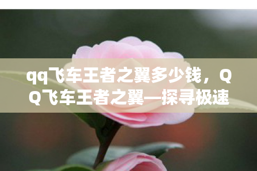 qq飞车王者之翼多少钱,QQ飞车王者之翼—探寻极速之巅的奥秘 qq飞车王者之翼多少钱,QQ飞车王者之翼—探寻极速之巅的奥秘