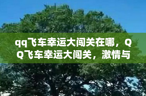 qq飞车幸运大闯关在哪,QQ飞车幸运大闯关,激情与速度的盛宴 qq飞车幸运大闯关在哪,QQ飞车幸运大闯关,激情与速度的盛宴