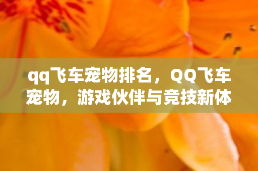 qq飞车宠物排名,QQ飞车宠物,游戏伙伴与竞技新体验 qq飞车宠物排名,QQ飞车宠物,游戏伙伴与竞技新体验