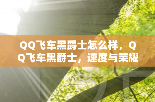 QQ飞车黑爵士怎么样,QQ飞车黑爵士,速度与荣耀的完美结合 QQ飞车黑爵士怎么样,QQ飞车黑爵士,速度与荣耀的完美结合