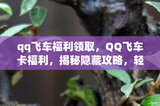 qq飞车福利领取,QQ飞车卡福利,揭秘隐藏攻略,轻松领跑赛道! qq飞车福利领取,QQ飞车卡福利,揭秘隐藏攻略,轻松领跑赛道!