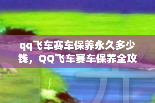 qq飞车赛车保养永久多少钱,QQ飞车赛车保养全攻略,让你的赛车持久如新 qq飞车赛车保养永久多少钱,QQ飞车赛车保养全攻略,让你的赛车持久如新