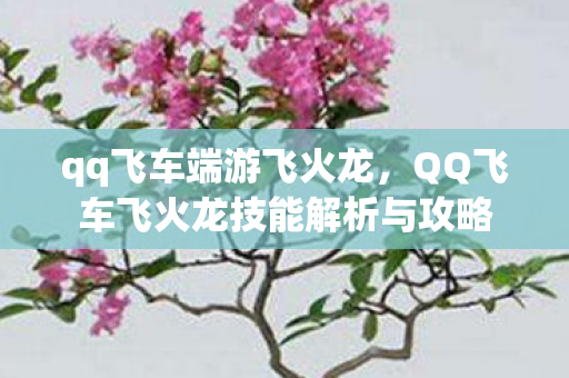 qq飞车端游飞火龙,QQ飞车飞火龙技能解析与攻略 qq飞车端游飞火龙,QQ飞车飞火龙技能解析与攻略