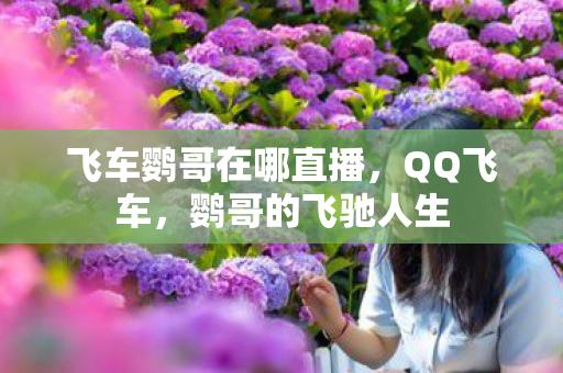 飞车鹦哥在哪直播，QQ飞车，鹦哥的飞驰人生