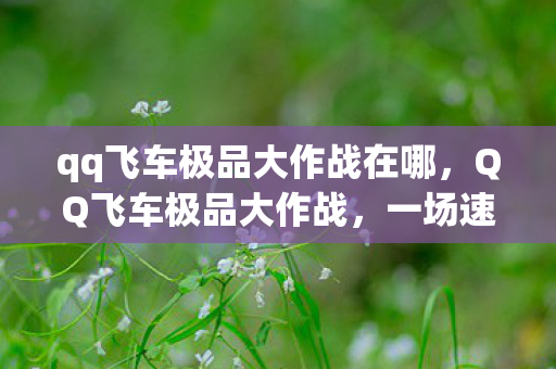 qq飞车极品大作战在哪，QQ飞车极品大作战，一场速度与激情的盛宴