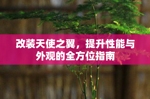 改装天使之翼,提升性能与外观的全方位指南 改装天使之翼,提升性能与外观的全方位指南