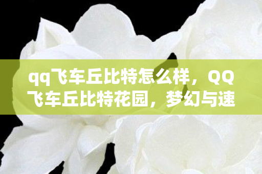 qq飞车丘比特怎么样,QQ飞车丘比特花园,梦幻与速度的交织 qq飞车丘比特怎么样,QQ飞车丘比特花园,梦幻与速度的交织