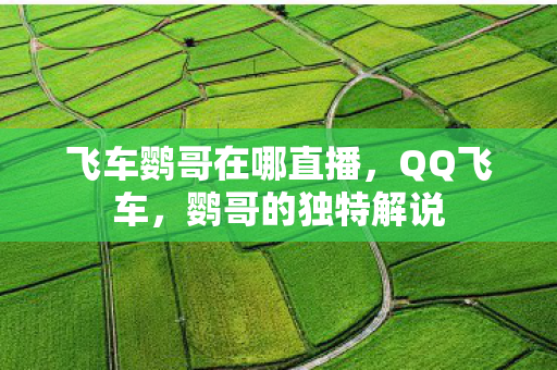 飞车鹦哥在哪直播，QQ飞车，鹦哥的独特解说