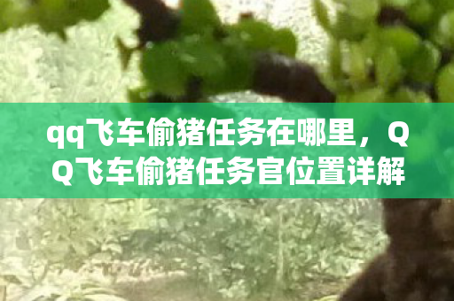 qq飞车偷猪任务在哪里，QQ飞车偷猪任务官位置详解