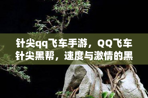 针尖qq飞车手游，QQ飞车针尖黑帮，速度与激情的黑暗势力