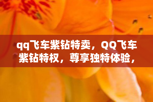 qq飞车紫钻特卖,QQ飞车紫钻特权,尊享独特体验,畅游飞车世界 qq飞车紫钻特卖,QQ飞车紫钻特权,尊享独特体验,畅游飞车世界