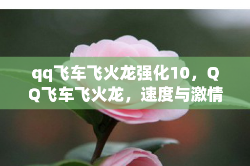 qq飞车飞火龙强化10,QQ飞车飞火龙,速度与激情的极致体验 qq飞车飞火龙强化10,QQ飞车飞火龙,速度与激情的极致体验