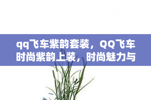 qq飞车紫韵套装,QQ飞车时尚紫韵上装,时尚魅力与游戏风采的完美结合 qq飞车紫韵套装,QQ飞车时尚紫韵上装,时尚魅力与游戏风采的完美结合