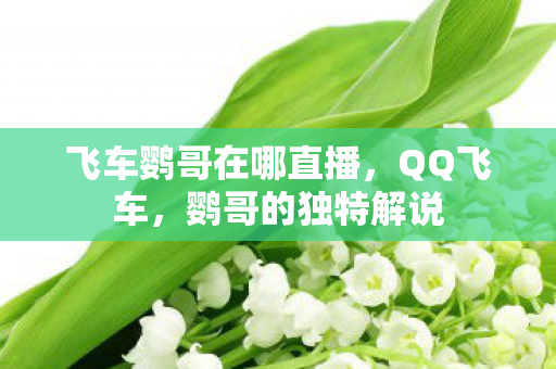 飞车鹦哥在哪直播,QQ飞车,鹦哥的独特解说 飞车鹦哥在哪直播,QQ飞车,鹦哥的独特解说