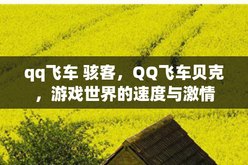 qq飞车 骇客,QQ飞车贝克,游戏世界的速度与激情 qq飞车 骇客,QQ飞车贝克,游戏世界的速度与激情
