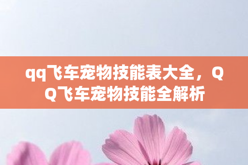 qq飞车宠物技能表大全,QQ飞车宠物技能全解析 qq飞车宠物技能表大全,QQ飞车宠物技能全解析