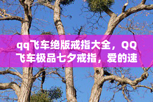 qq飞车绝版戒指大全，QQ飞车极品七夕戒指，爱的速度与激情的完美融合