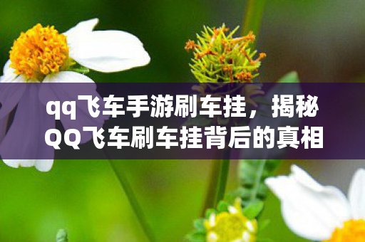 qq飞车手游刷车挂,揭秘QQ飞车刷车挂背后的真相 qq飞车手游刷车挂,揭秘QQ飞车刷车挂背后的真相