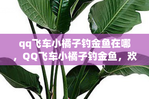 qq飞车小橘子钓金鱼在哪,QQ飞车小橘子钓金鱼,欢乐无限多 qq飞车小橘子钓金鱼在哪,QQ飞车小橘子钓金鱼,欢乐无限多