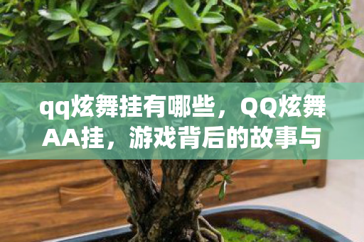 qq炫舞挂有哪些，QQ炫舞AA挂，游戏背后的故事与争议