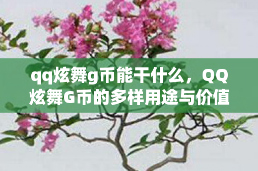 qq炫舞g币能干什么,QQ炫舞G币的多样用途与价值 qq炫舞g币能干什么,QQ炫舞G币的多样用途与价值