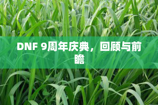 DNF 9周年庆典,回顾与前瞻 DNF 9周年庆典,回顾与前瞻