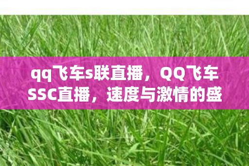 qq飞车s联直播,QQ飞车SSC直播,速度与激情的盛宴 qq飞车s联直播,QQ飞车SSC直播,速度与激情的盛宴