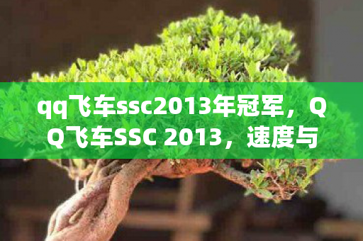 qq飞车ssc2013年冠军,QQ飞车SSC 2013,速度与激情的年度盛宴 qq飞车ssc2013年冠军,QQ飞车SSC 2013,速度与激情的年度盛宴