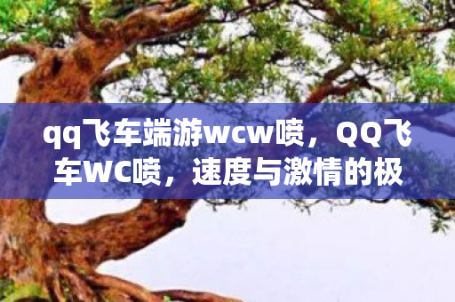 qq飞车端游wcw喷,QQ飞车WC喷,速度与激情的极致展现 qq飞车端游wcw喷,QQ飞车WC喷,速度与激情的极致展现