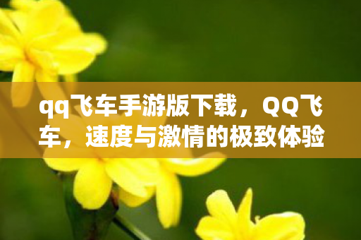 qq飞车手游版下载，QQ飞车，速度与激情的极致体验