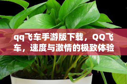qq飞车手游版下载,QQ飞车,速度与激情的极致体验 qq飞车手游版下载,QQ飞车,速度与激情的极致体验