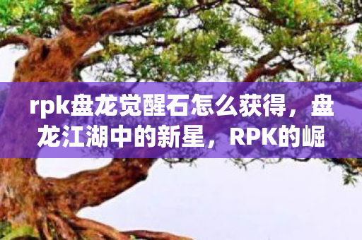 rpk盘龙觉醒石怎么获得，盘龙江湖中的新星，RPK的崛起与挑战