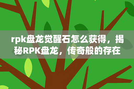 rpk盘龙觉醒石怎么获得，揭秘RPK盘龙，传奇般的存在与背后的故事