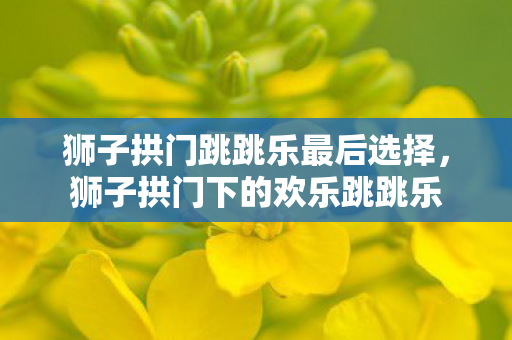 狮子拱门跳跳乐最后选择，狮子拱门下的欢乐跳跳乐