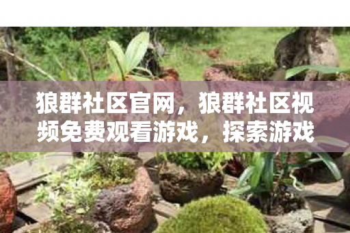 狼群社区官网,狼群社区视频免费观看游戏,探索游戏世界的无限魅力 狼群社区官网,狼群社区视频免费观看游戏,探索游戏世界的无限魅力