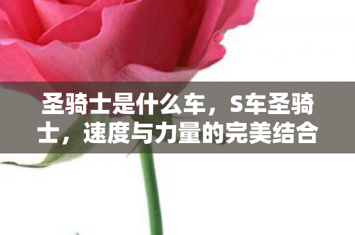 圣骑士是什么车,S车圣骑士,速度与力量的完美结合 圣骑士是什么车,S车圣骑士,速度与力量的完美结合