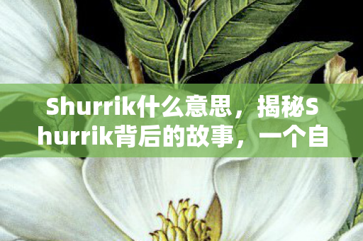 Shurrik什么意思,揭秘Shurrik背后的故事,一个自媒体作者的独特视角 Shurrik什么意思,揭秘Shurrik背后的故事,一个自媒体作者的独特视角