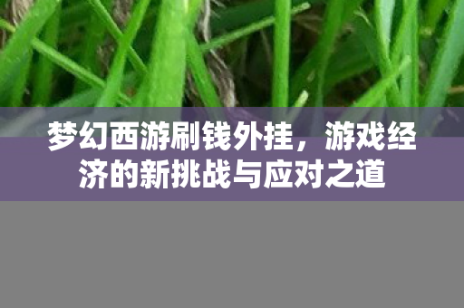梦幻西游刷钱外挂,游戏经济的新挑战与应对之道 梦幻西游刷钱外挂,游戏经济的新挑战与应对之道