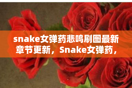 snake女弹药悲鸣刷图最新章节更新,Snake女弹药,游戏魅力与角色深度解析 snake女弹药悲鸣刷图最新章节更新,Snake女弹药,游戏魅力与角色深度解析