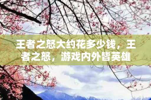 王者之怒大约花多少钱，王者之怒，游戏内外皆英雄