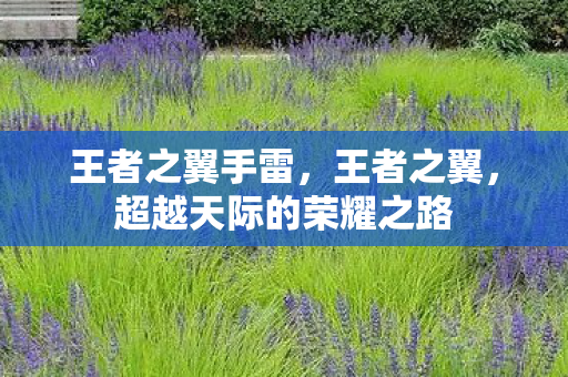王者之翼手雷，王者之翼，超越天际的荣耀之路