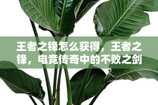 王者之锋怎么获得，王者之锋，电竞传奇中的不败之剑
