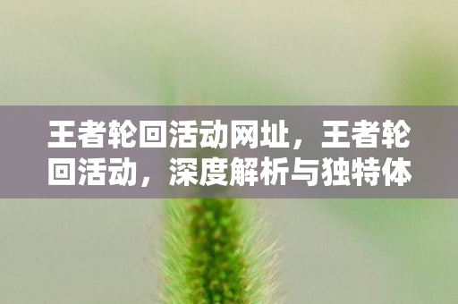 王者轮回活动网址,王者轮回活动,深度解析与独特体验分享 王者轮回活动网址,王者轮回活动,深度解析与独特体验分享
