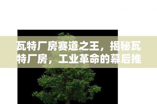瓦特厂房赛道之王，揭秘瓦特厂房，工业革命的幕后推手