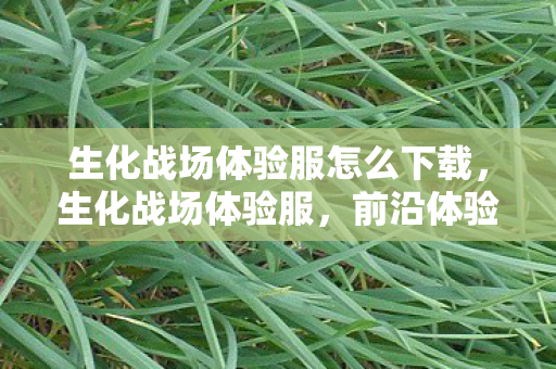 生化战场体验服怎么下载，生化战场体验服，前沿体验与深度解析