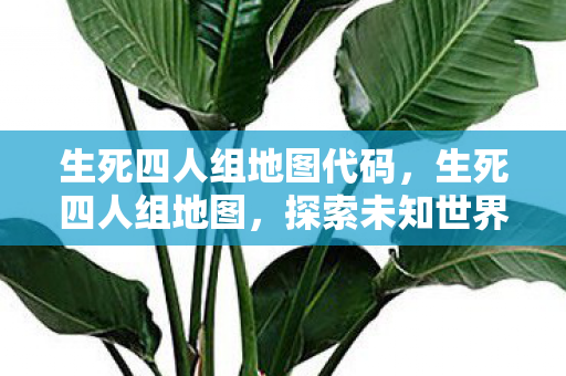 生死四人组地图代码，生死四人组地图，探索未知世界的冒险之旅