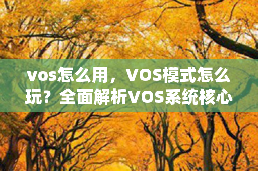 vos怎么用,VOS模式怎么玩?全面解析VOS系统核心玩法 vos怎么用,VOS模式怎么玩?全面解析VOS系统核心玩法