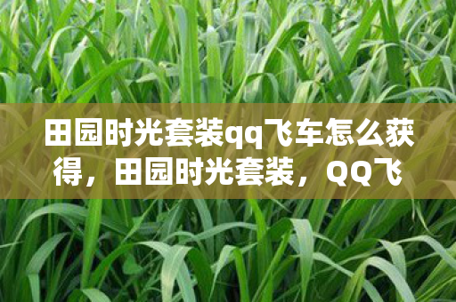 田园时光套装qq飞车怎么获得,田园时光套装,QQ飞车中的自然风情与快乐竞技 田园时光套装qq飞车怎么获得,田园时光套装,QQ飞车中的自然风情与快乐竞技