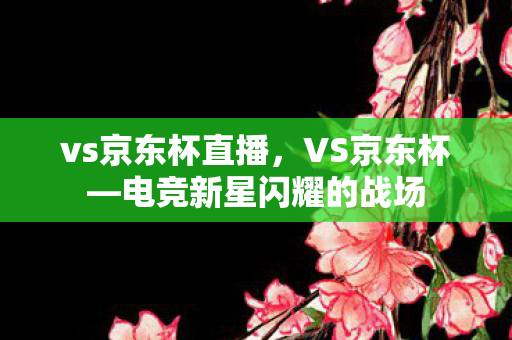 vs京东杯直播，VS京东杯—电竞新星闪耀的战场